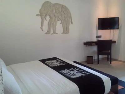 Aliya Resort and Spa - 42