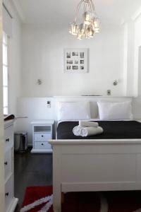 Boutique Tremo - 40