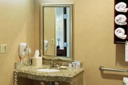 Hampton Inn & Suites I-20 - 51
