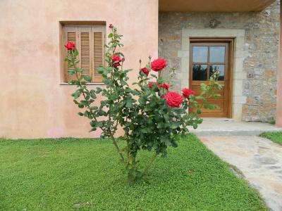 Liotrivi Historical Mansion and Boutique - 1
