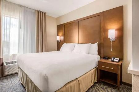 Comfort Suites - South Austin - 21
