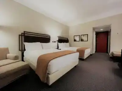 Crowne Plaza Rome St. Peter's, an IHG - 35