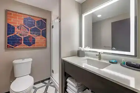 Vib Best Western Denver Rino - 58