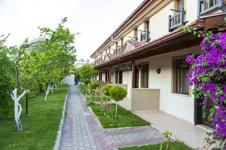 Portakal Dalyan - 11