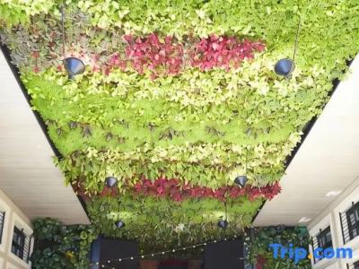 Living am Deutschen Museum - 51