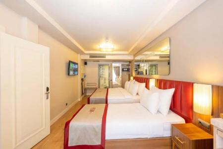 Ramada by Wyndham Istanbul Pera - 105