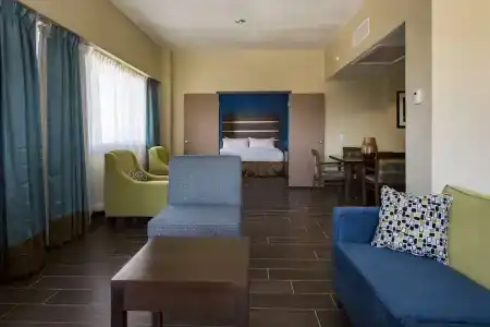 Holiday Inn Houston Downtown, An Ihg - 88