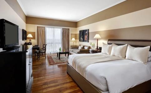 Intercontinental Buenos Aires, An Ihg - 83