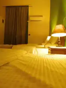 New Hotel - 15
