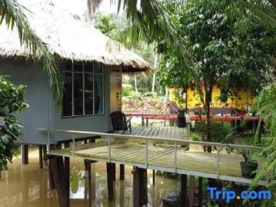 Tamsabai - 66