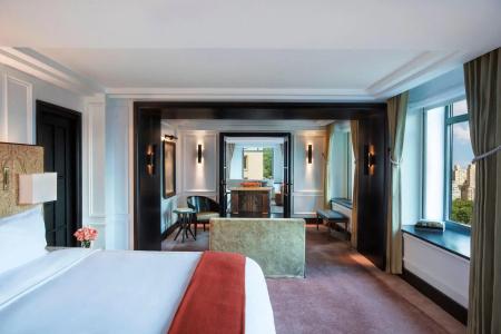 The Ritz-Carlton New York, Central Park - 46