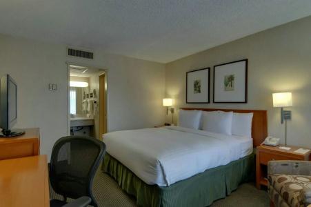 Vagabond Inn - 40