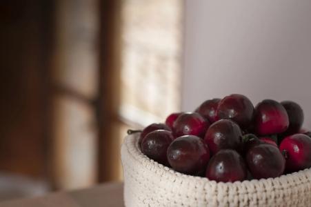 Antico Granaione - 11