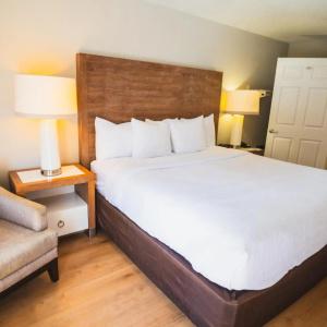 Quality Inn & Suites By the Parks - 36