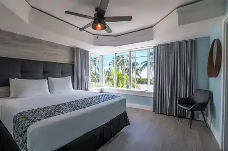 Colony - 100