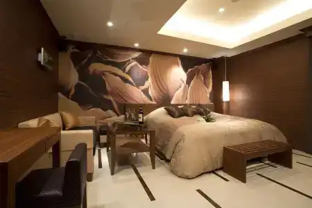 and Spa Lotus Modern (Adult Only) - 3
