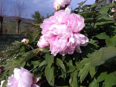 La Vittoria 10 – La Soglia della Val d’Orcia - 105