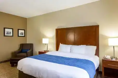 Comfort Inn & Suites Airport - 32
