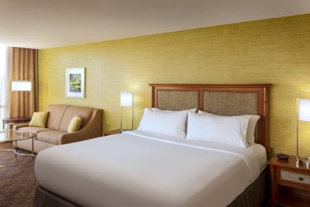 Holiday Inn Austin -Town Lake, An Ihg - 26