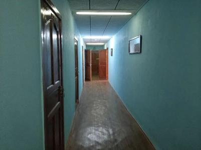 Элем-Т - 7