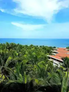 Sonata Resort & Spa - 65