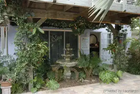 The Cabanas Guesthouse & Spa - Gay Men's Resort - 13