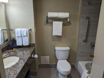 Best Western Plus Toronto Airport - 40