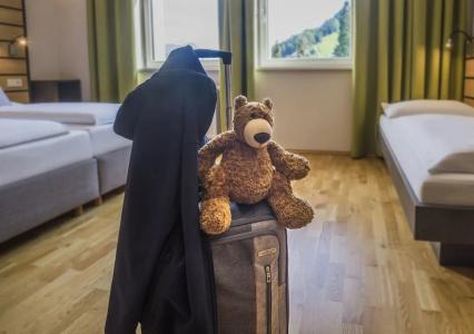 Jufa Schladming - 6