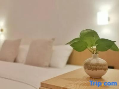 Tr Residence - 33