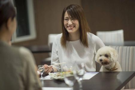 Izumigo Toba Dog Paradise - 14