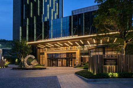 The g Shenzhen, a Tribute Portfolio - 27