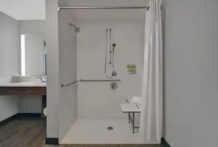 Holiday Inn Express - Houston - Galleria Area, An Ihg - 44