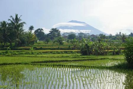 Santun Luxury Private Villas - 106
