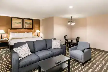 Quality Inn & Suites - 54