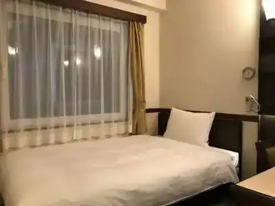 Toyoko Inn Ekimae - 33