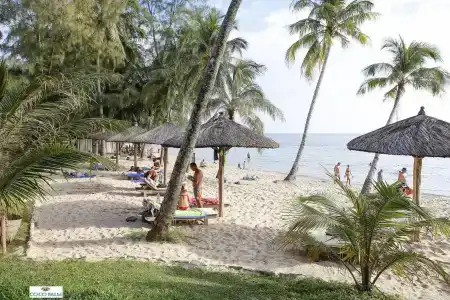 Coco Palm Beach Resort & Spa - 13