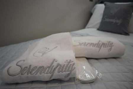 Serendipity B&B - 35