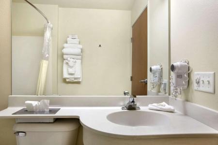 Microtel Inn & Suites by Wyndham - 5