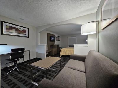 Quality Inn & Suites Dfw Airport South - 39