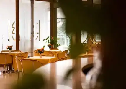 Grand Excelsior - 21