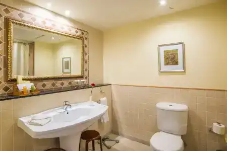 Grand Excelsior - 9