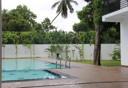 Serenity Tissa - 45