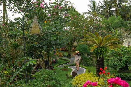 Capung Mas - 23