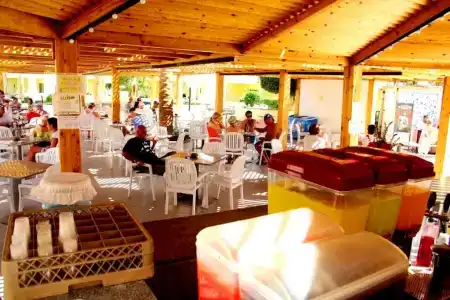 Palm Beach Resort Families and Couples only - 25