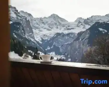 & Spa Silberhorn - 130