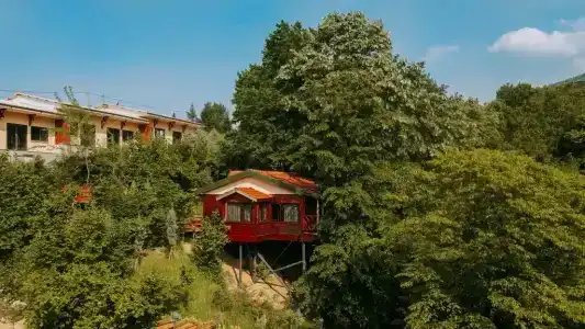 The Canyon & Resort - 39