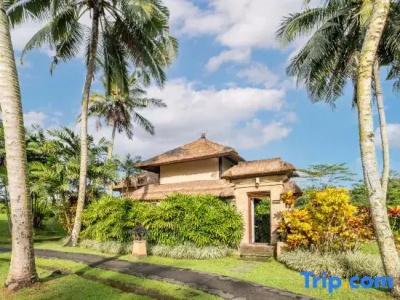 Villa Semana & Spa - 172