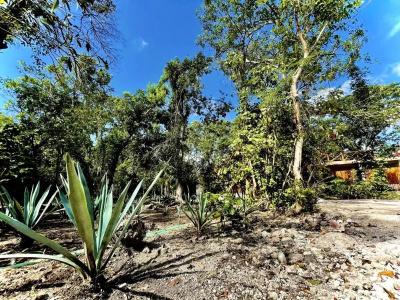 Tequila Cancun - 7