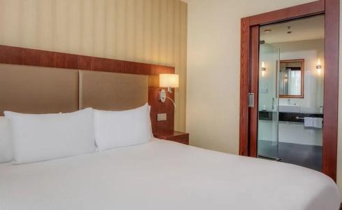 DoubleTree by Hilton Bratislava - 9