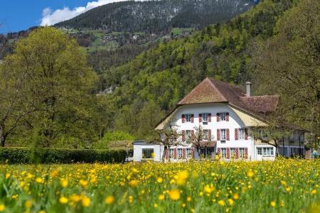 Neuhaus Golf- & Strandhotel - 7